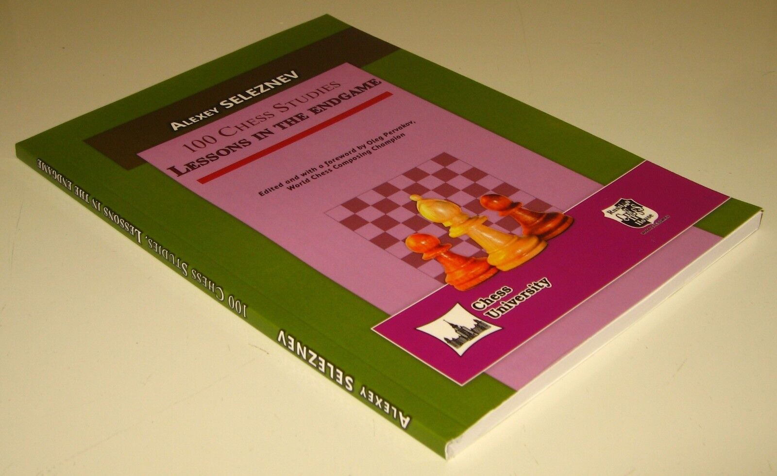 11052.Chess Book: Alexey Seleznev. 100 Chess Studies. Lessons in the Endgame. 2017