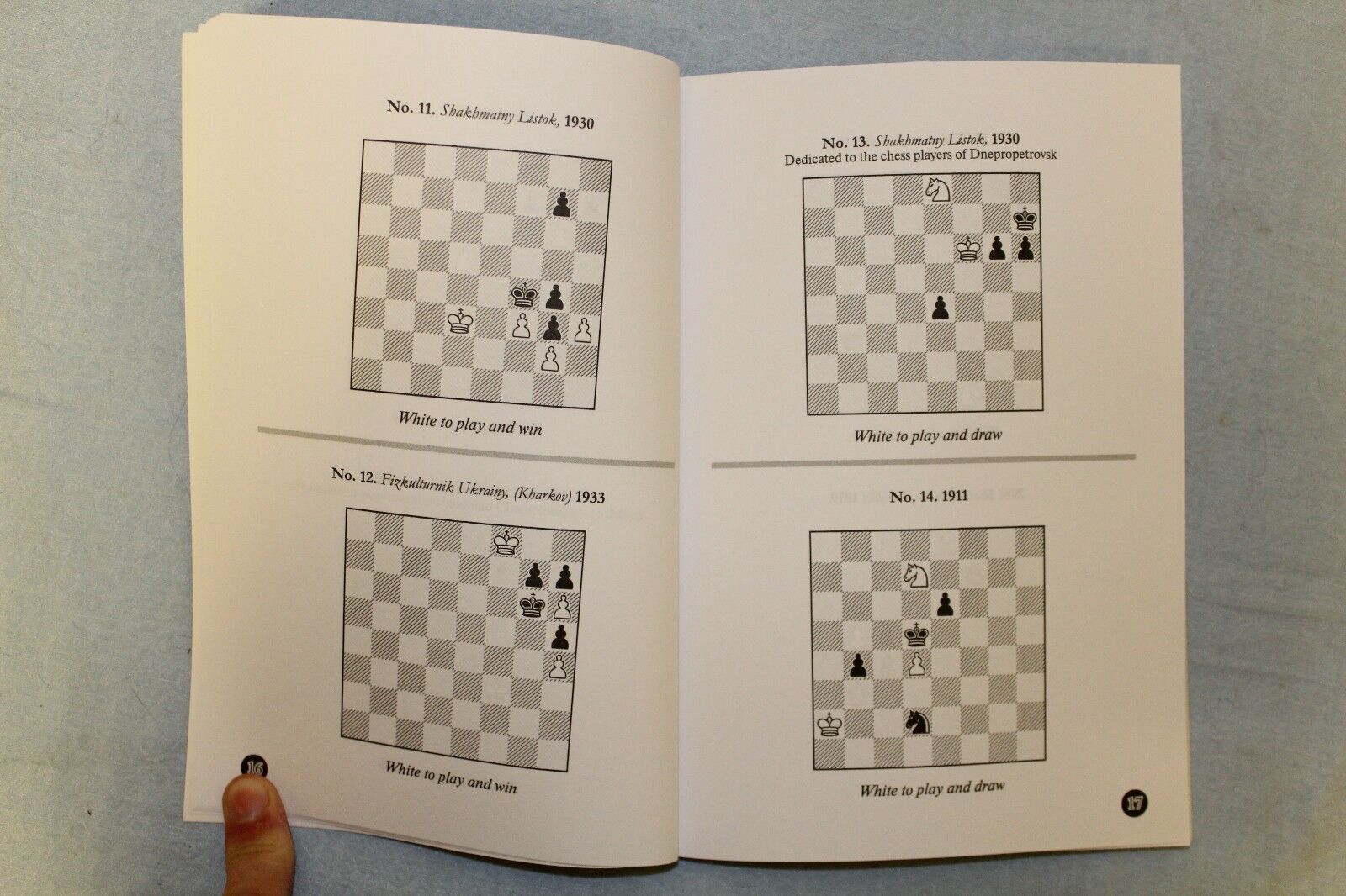 11052.Chess Book: Alexey Seleznev. 100 Chess Studies. Lessons in the Endgame. 2017